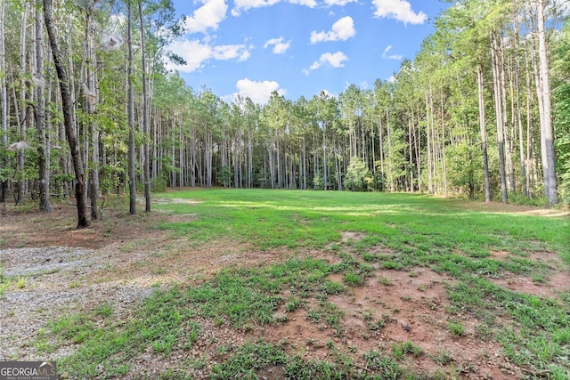 view of yard featuring a view of trees