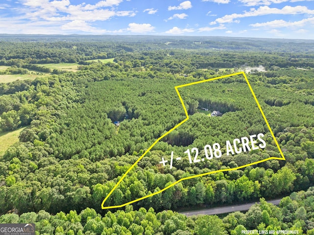 birds eye view of property with a forest view