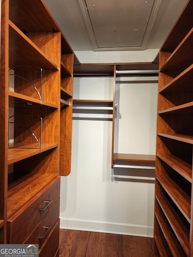 spacious closet featuring dark wood-style floors