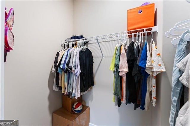 view of spacious closet