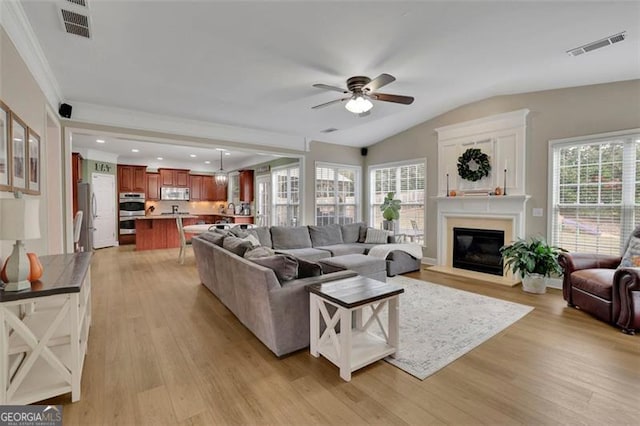 living area with light wood-type flooring, plenty of natural light, and visible vents