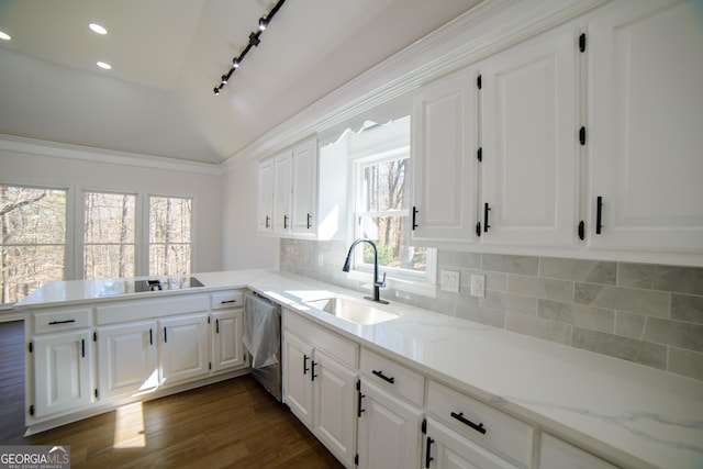 kitchen featuring a sink, stainless steel dishwasher, tasteful backsplash, dark wood-style floors, and lofted ceiling