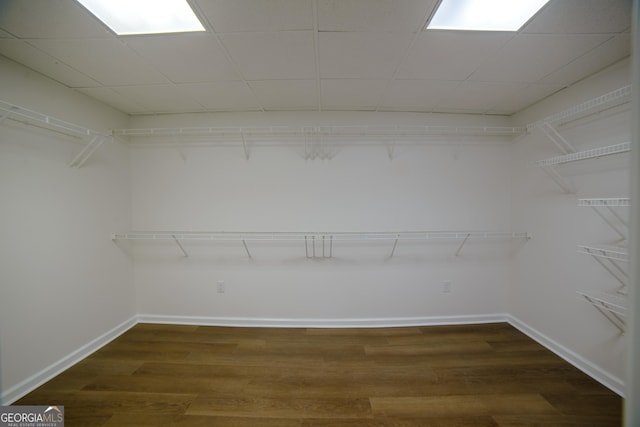 spacious closet with dark wood finished floors
