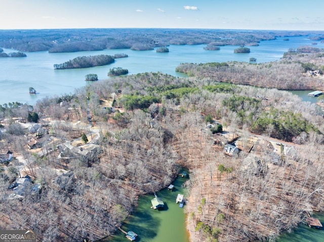 drone / aerial view with a water view and a wooded view