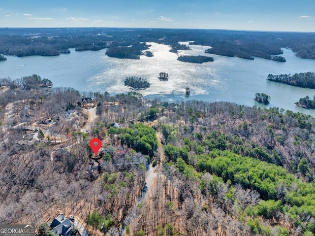 birds eye view of property with a water view and a view of trees