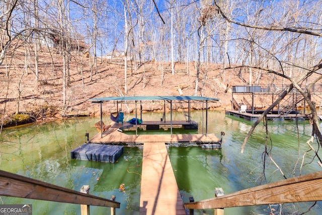 dock area with a water view