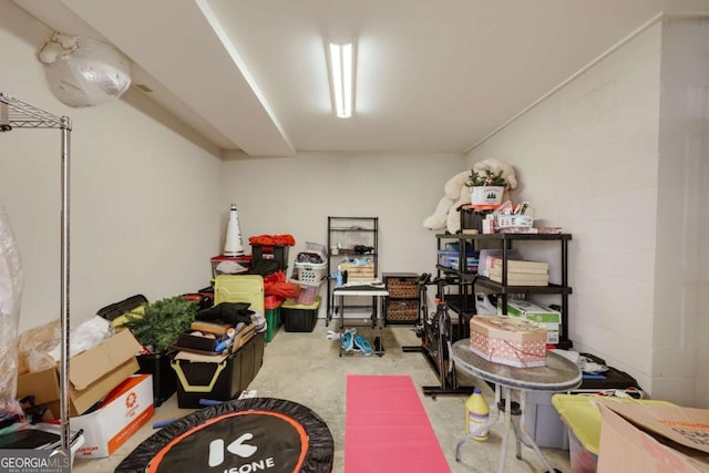 310 Research Dr Unit 303, Athens, GA 30605 - view of storage room