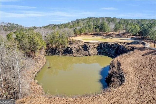 aerial view featuring a water view and a wooded view