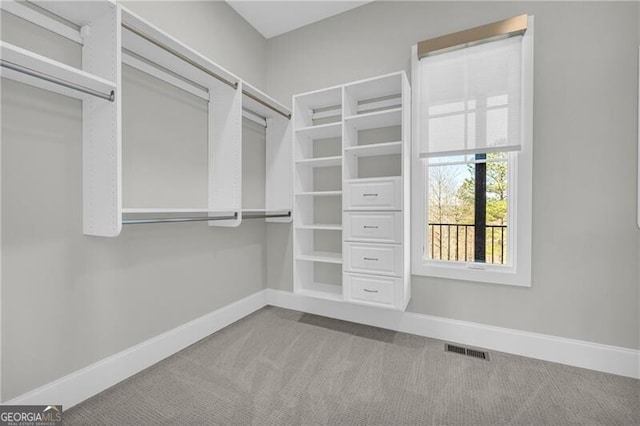 spacious closet featuring carpet floors and visible vents