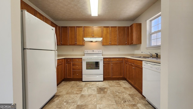 kitchen featuring under cabinet range hood, white appliances, a sink, light countertops, and brown cabinets