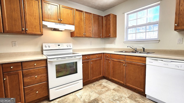 kitchen with white appliances, brown cabinetry, a sink, and under cabinet range hood