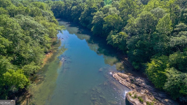 bird's eye view with a forest view and a water view