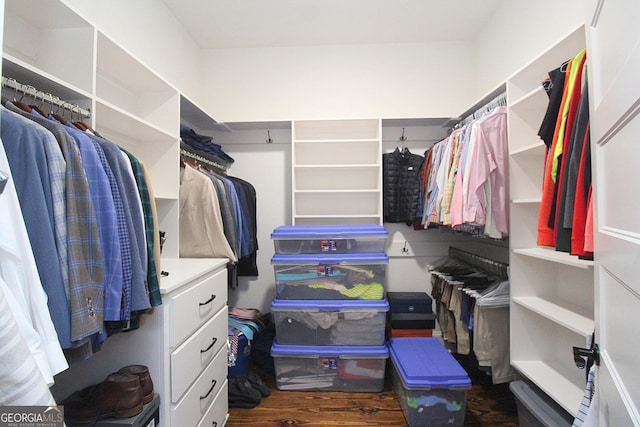 walk in closet with wood finished floors