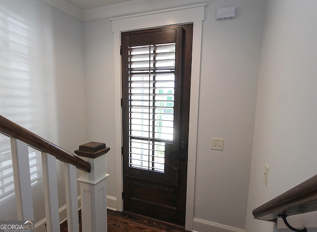 foyer with dark wood-style floors, crown molding, and a healthy amount of sunlight