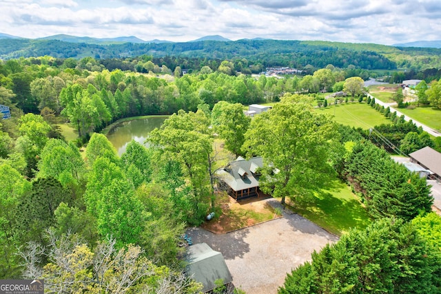 1650 Loving Rd, Morganton, GA 30560 - aerial view with a water and mountain view and a view of trees