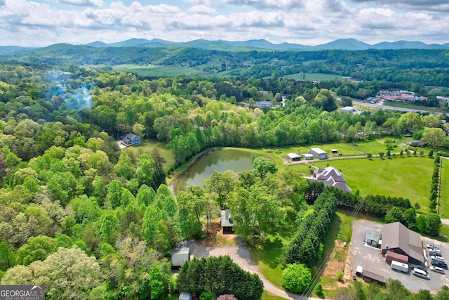 1650 Loving Rd, Morganton, GA 30560 - aerial view with a wooded view and a water and mountain view