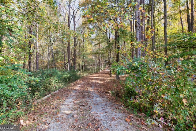 view of road featuring a view of trees