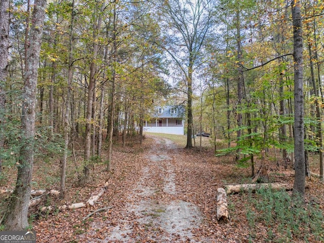 view of street with dirt driveway and a view of trees