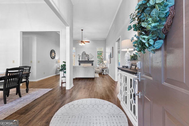 foyer with ceiling fan, ornamental molding, dark wood finished floors, and baseboards