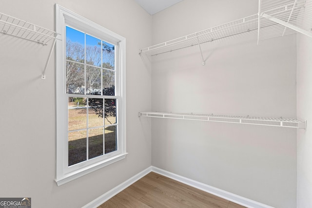 walk in closet with wood finished floors