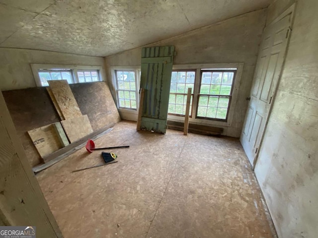 miscellaneous room featuring vaulted ceiling