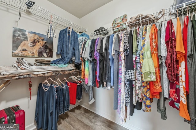 walk in closet with wood finished floors