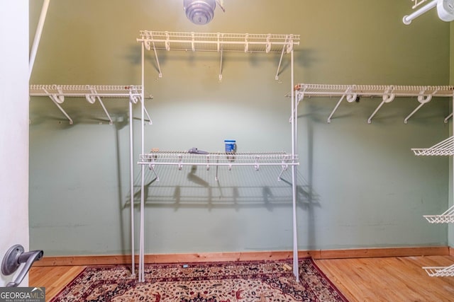 spacious closet featuring wood finished floors