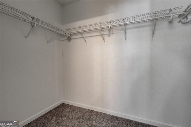 walk in closet with dark carpet