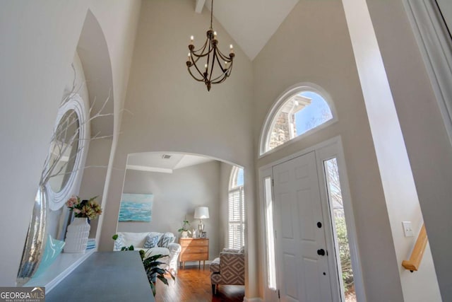 entryway featuring high vaulted ceiling, wood finished floors, and a wealth of natural light