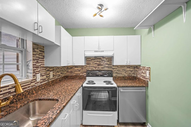 kitchen with electric stove, backsplash, stainless steel dishwasher, a sink, and under cabinet range hood