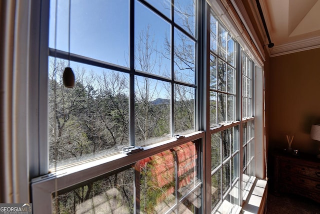 detailed view of crown molding