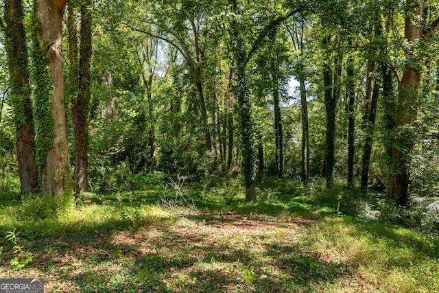 view of landscape featuring a view of trees