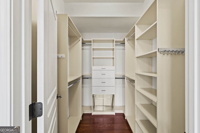 spacious closet featuring dark wood-style floors