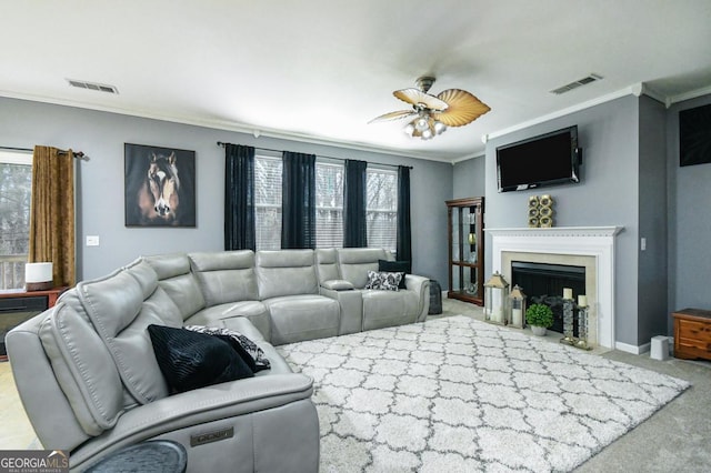 carpeted living room featuring ornamental molding, visible vents, ceiling fan, and a fireplace with flush hearth