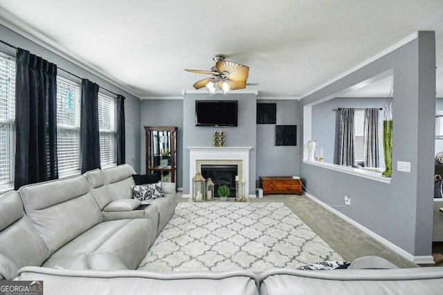 carpeted living area featuring ornamental molding, a fireplace, and baseboards