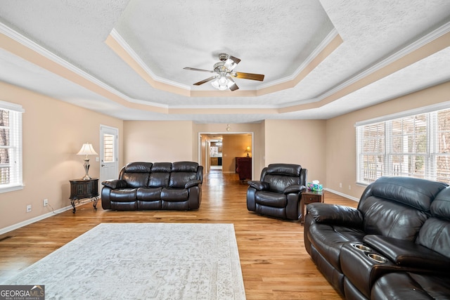 living room featuring light wood finished floors, plenty of natural light, and a tray ceiling