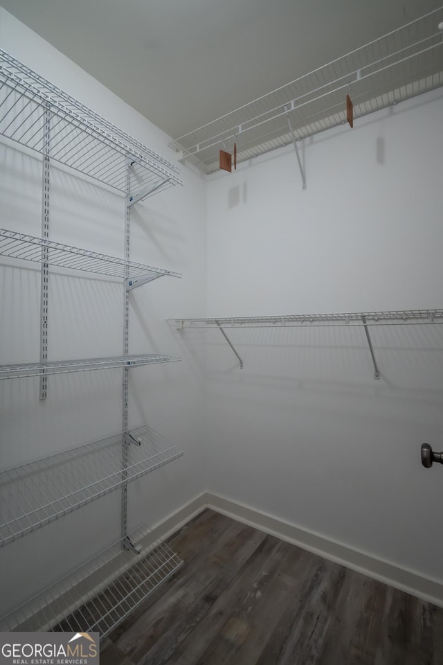 walk in closet featuring dark wood finished floors