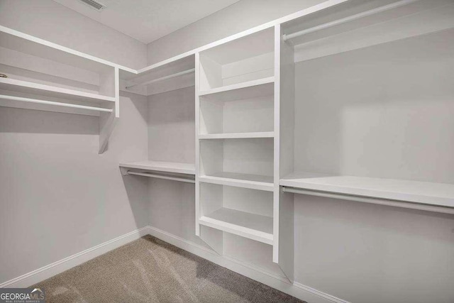 spacious closet featuring carpet flooring