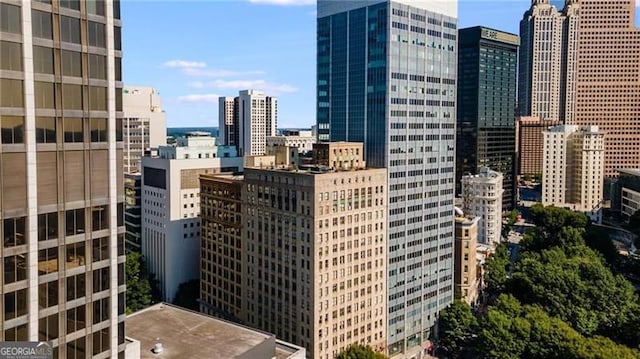 32 Peachtree St Unit 202, Atlanta, GA 30303 - city view