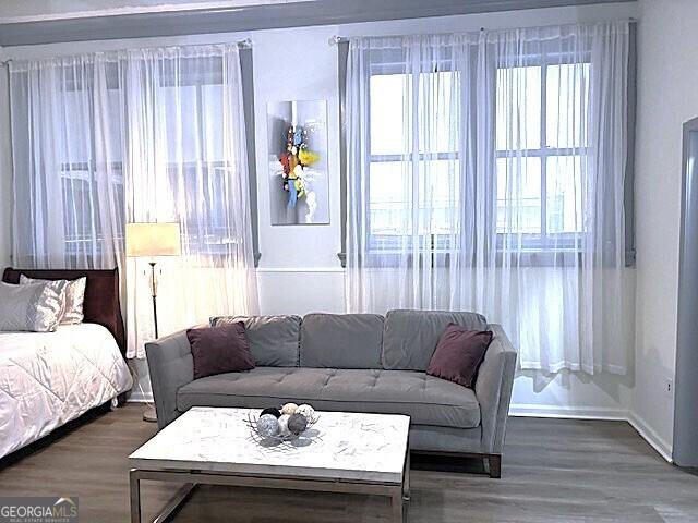 32 Peachtree St Unit 202, Atlanta, GA 30303 - bedroom featuring wood finished floors and baseboards