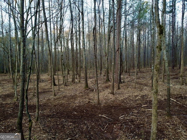 1000 Jackson Lake Rd, Jackson, GA 30233