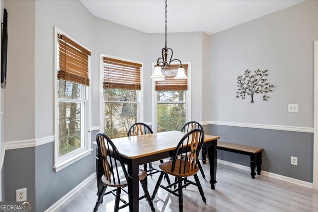 dining area featuring baseboards, plenty of natural light, and wood finished floors