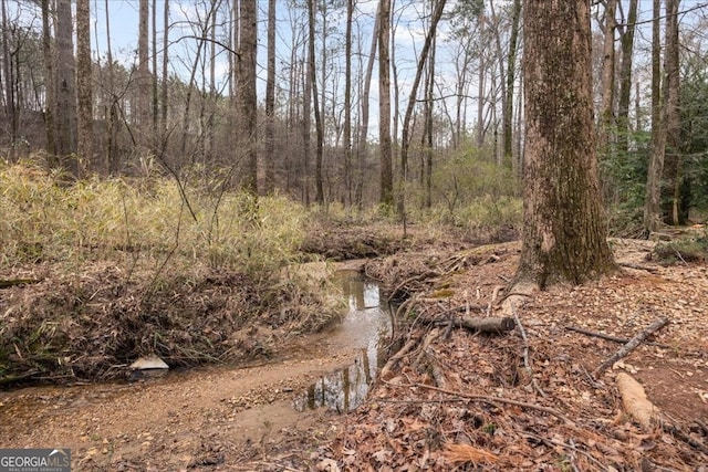 view of landscape featuring a wooded view