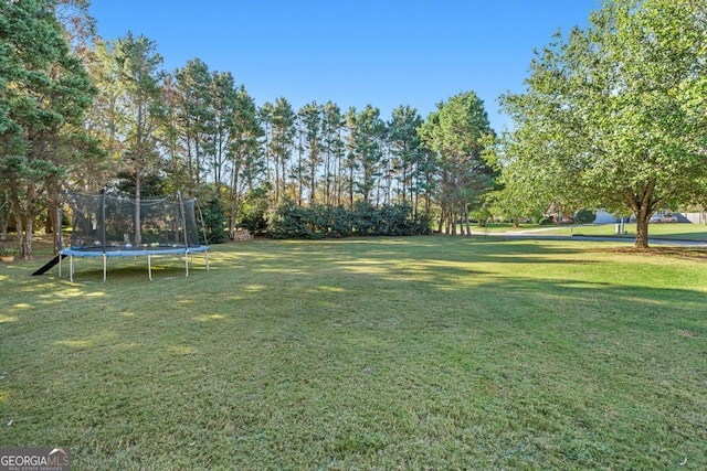 view of yard with a trampoline