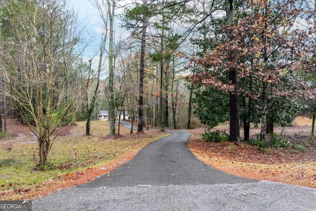 view of road with driveway