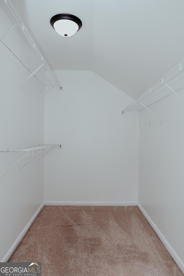 spacious closet featuring lofted ceiling and carpet flooring