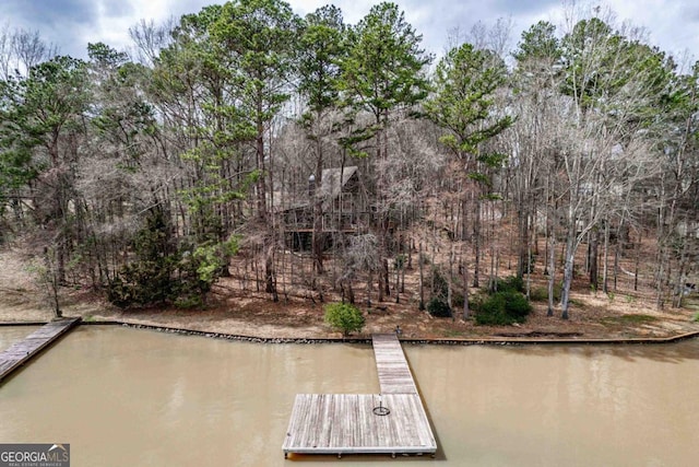 dock area with a water view