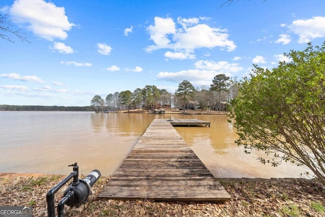 view of dock with a water view