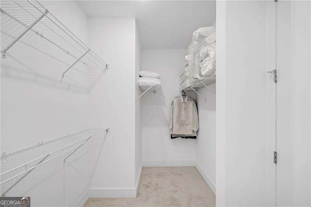 walk in closet featuring light colored carpet