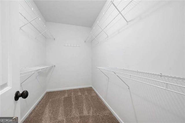 spacious closet featuring carpet flooring